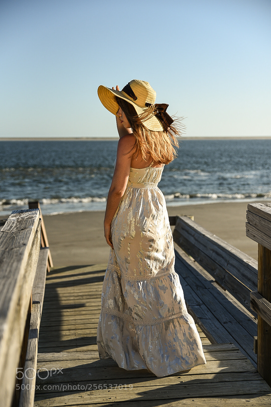 Nikon D750 sample photo. Untitled photography