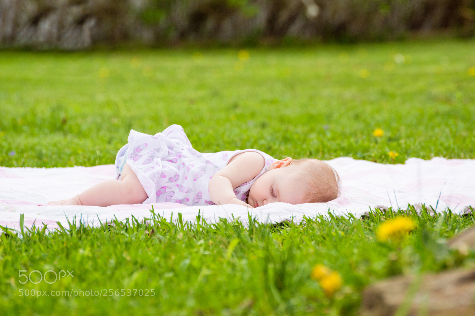 Nikon D7200 sample photo. Peaceful slumber photography