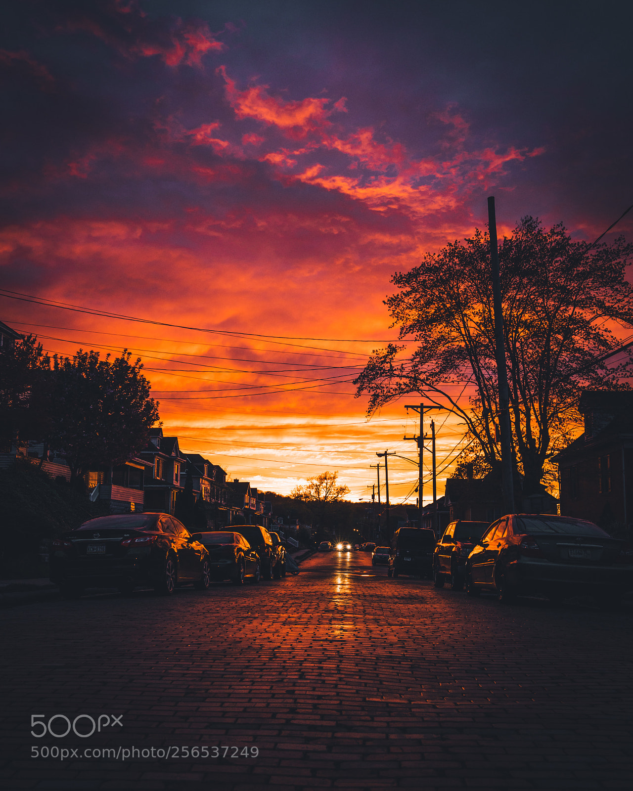 Sony a7R II sample photo. First burning sky of 2018 photography