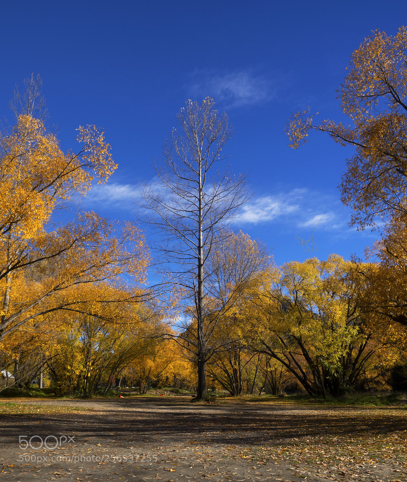Olympus OM-D E-M1 sample photo. It's a arrowtown autumn photography