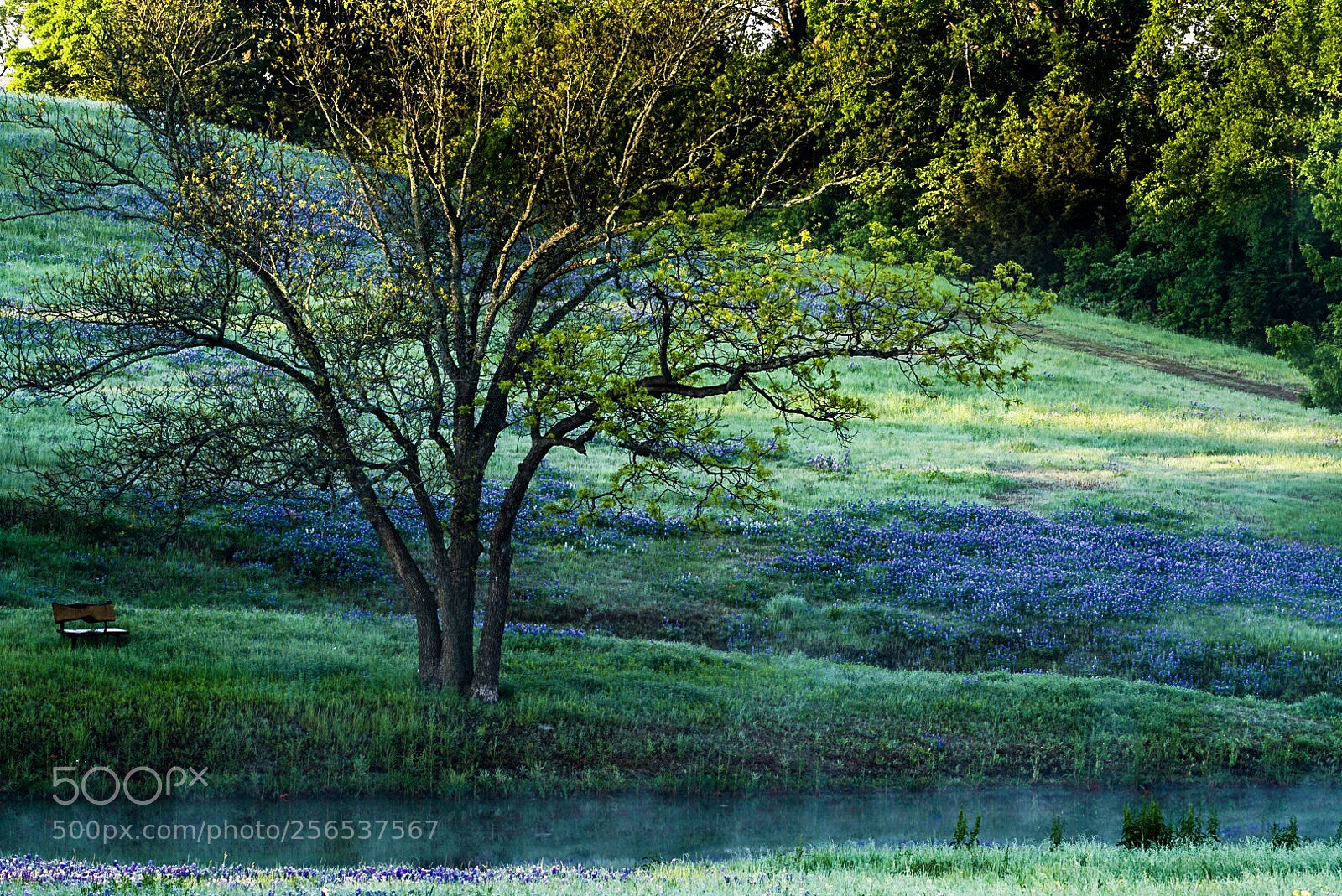 Sony a7R II sample photo. Untitled photography