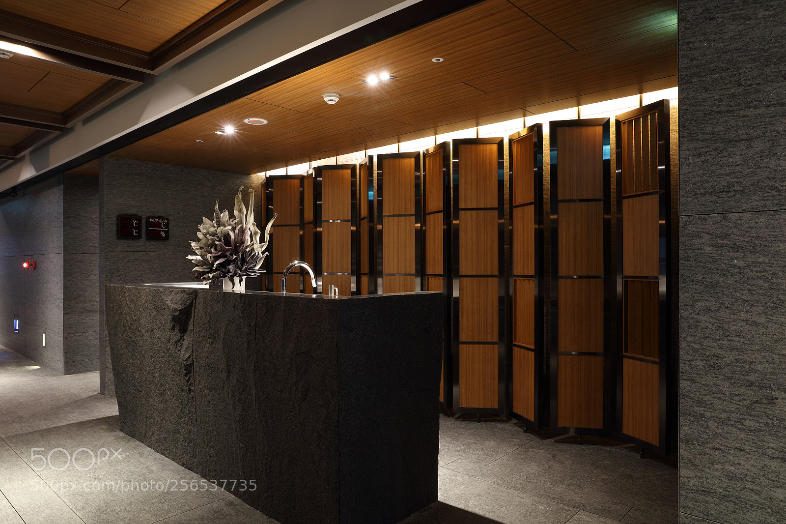 Canon EOS 5DS R sample photo. A photography