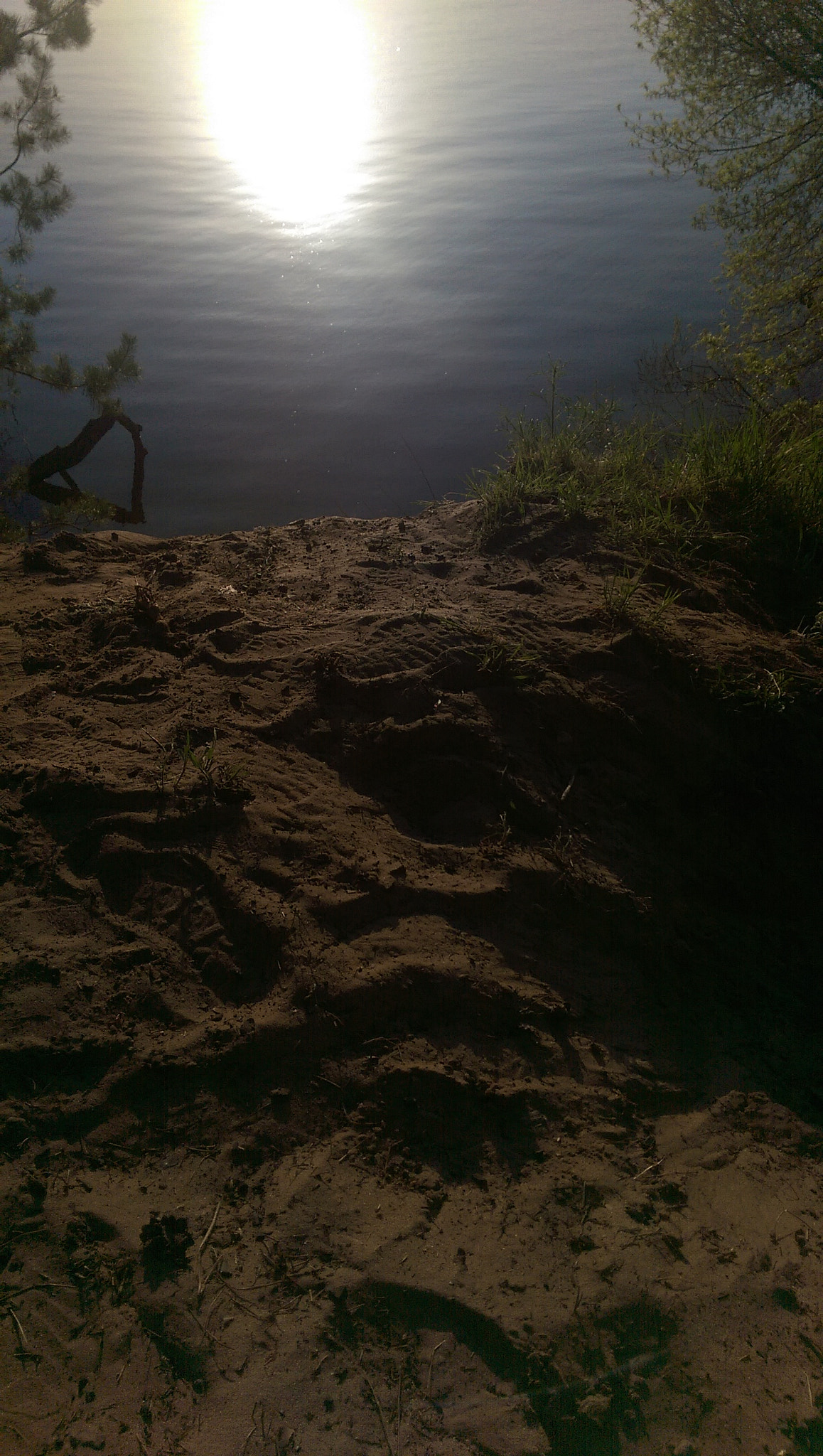 HTC ONE M8 sample photo