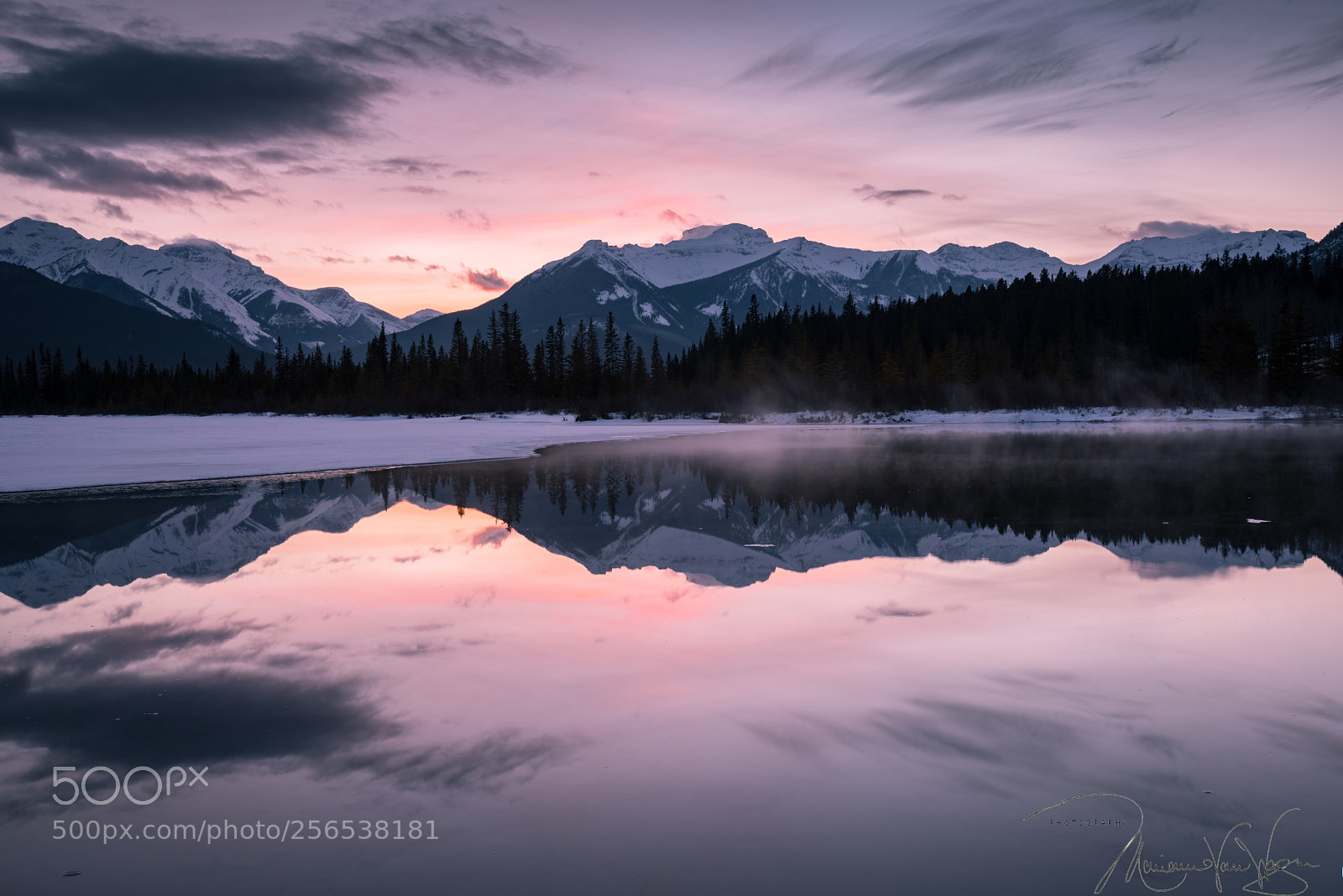 Nikon D750 sample photo. Mirror in lake photography
