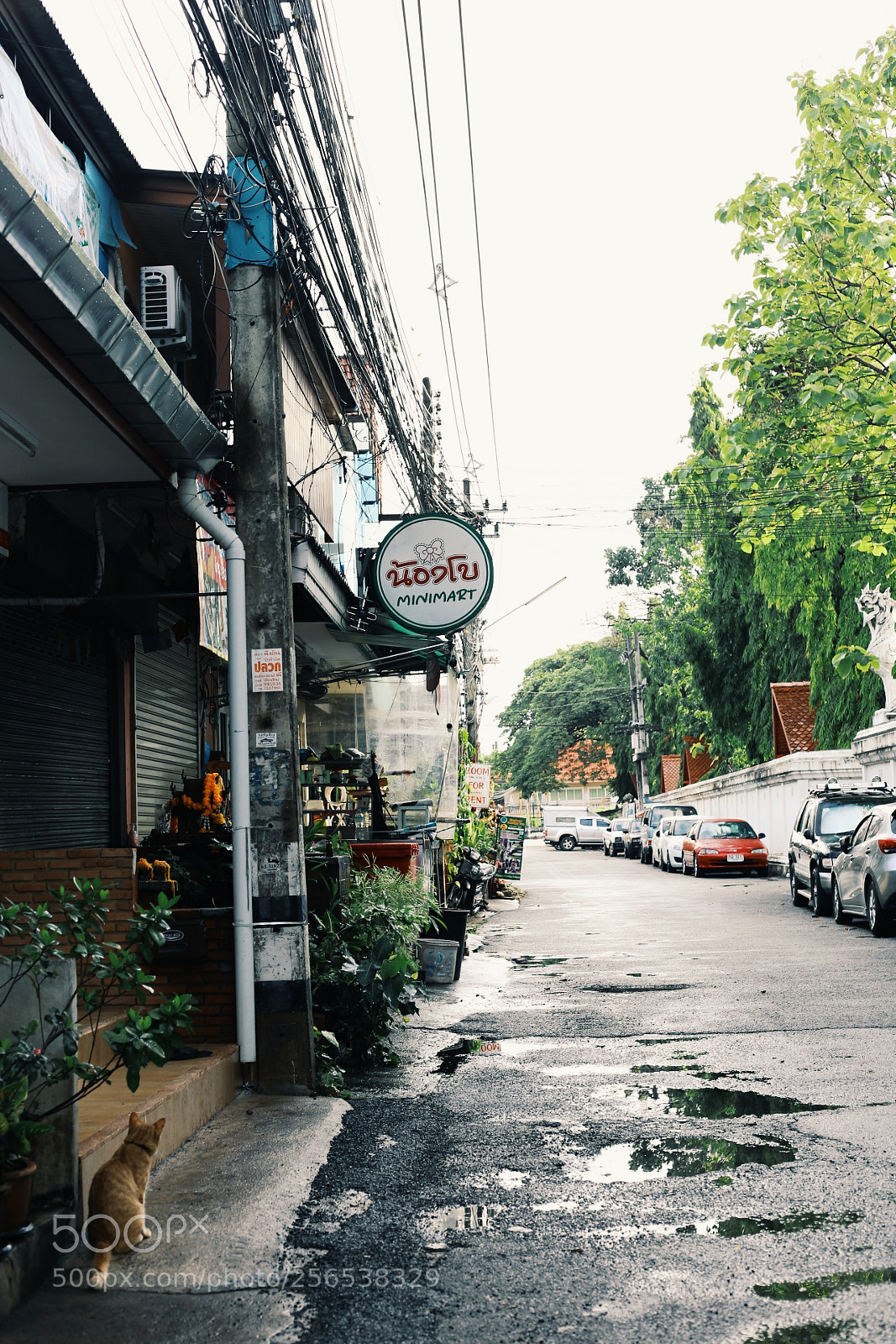 Canon EOS 6D sample photo. Processed with vsco with photography
