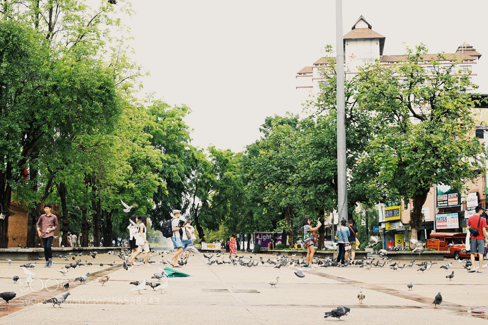 Canon EOS 6D sample photo. Processed with vsco with photography