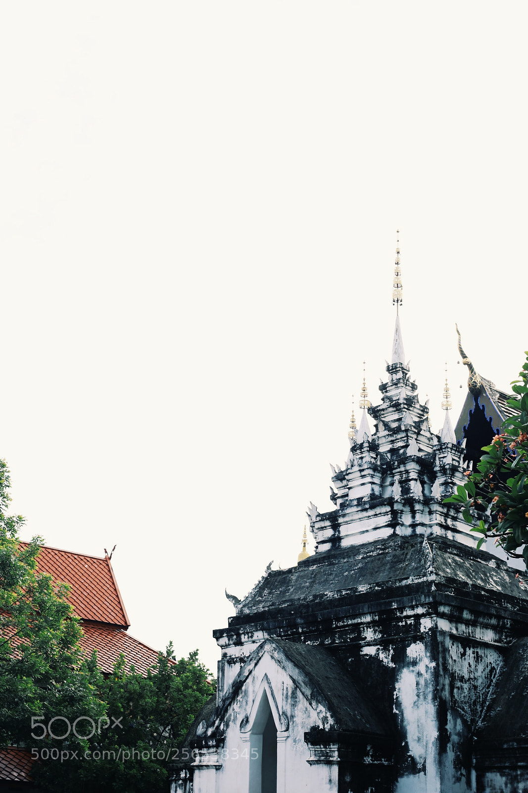 Canon EOS 6D sample photo. Processed with vsco with photography