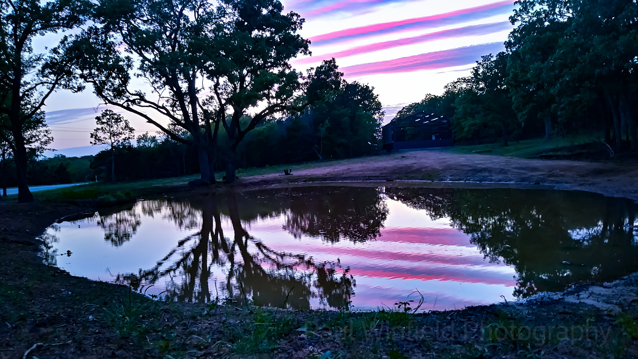 LG K20 PLUS sample photo. The color purple photography
