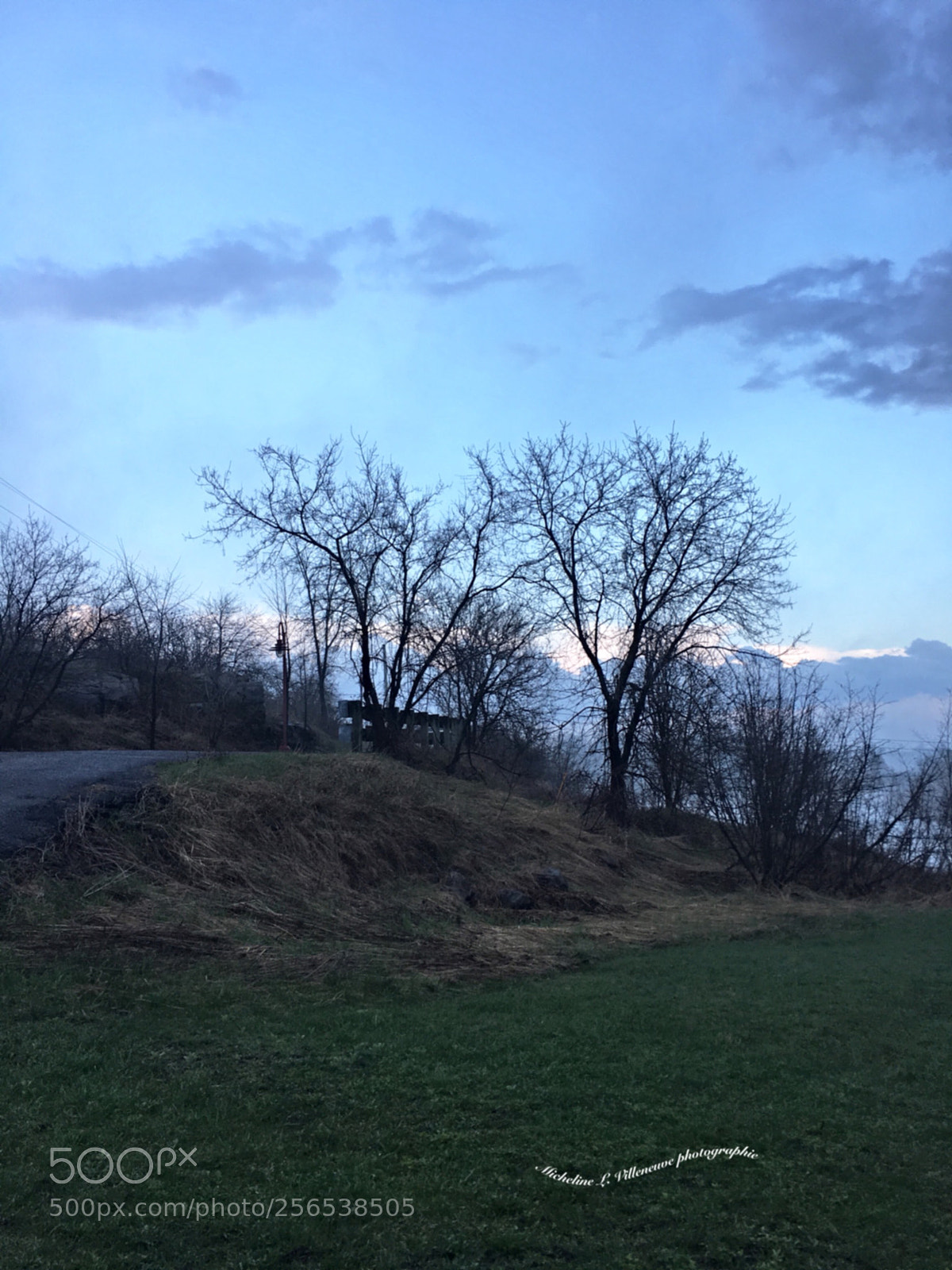 Apple iPhone 6s Plus sample photo. All photos-17736 photography