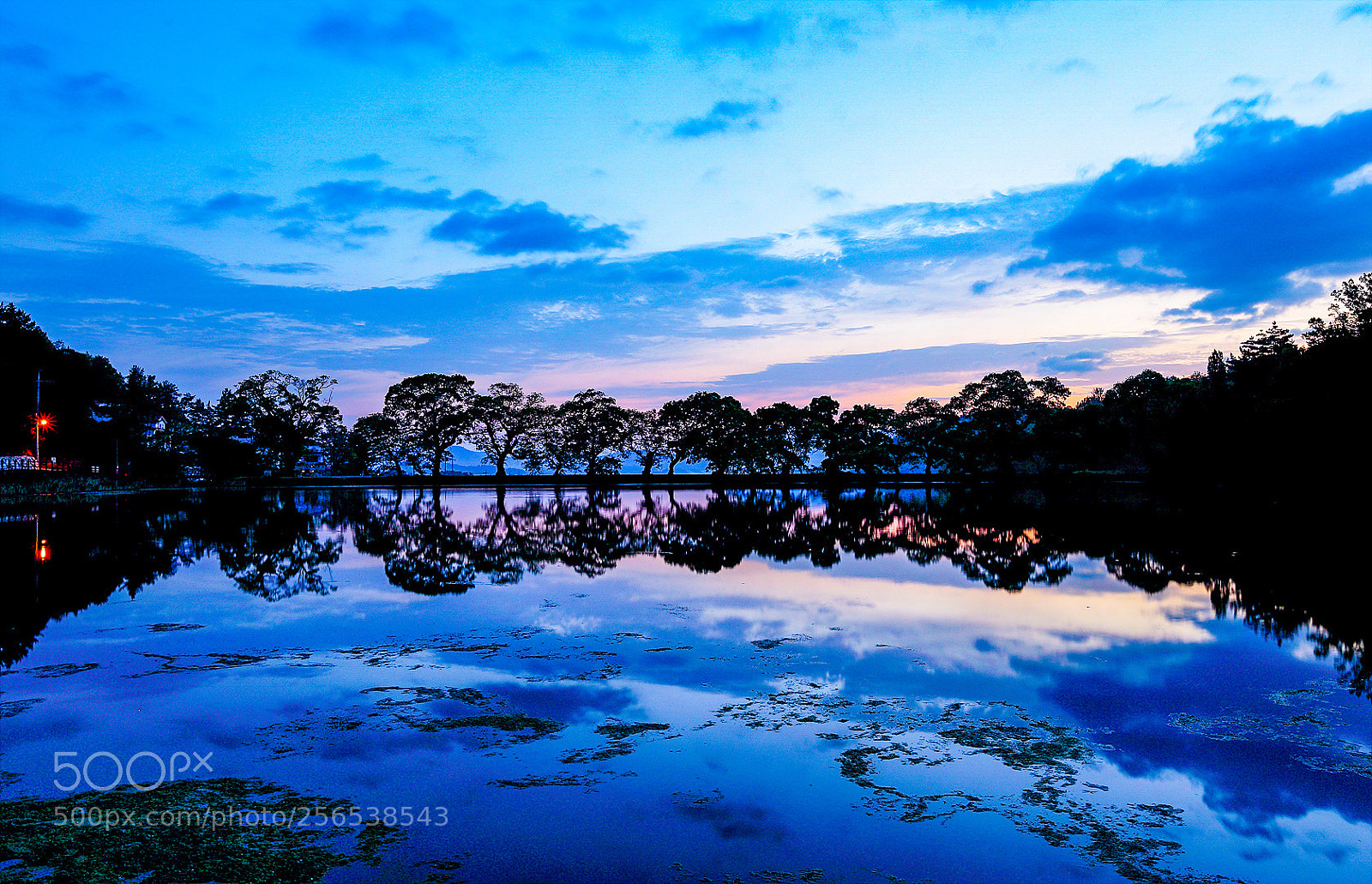 Canon EOS 6D sample photo. Untitled photography