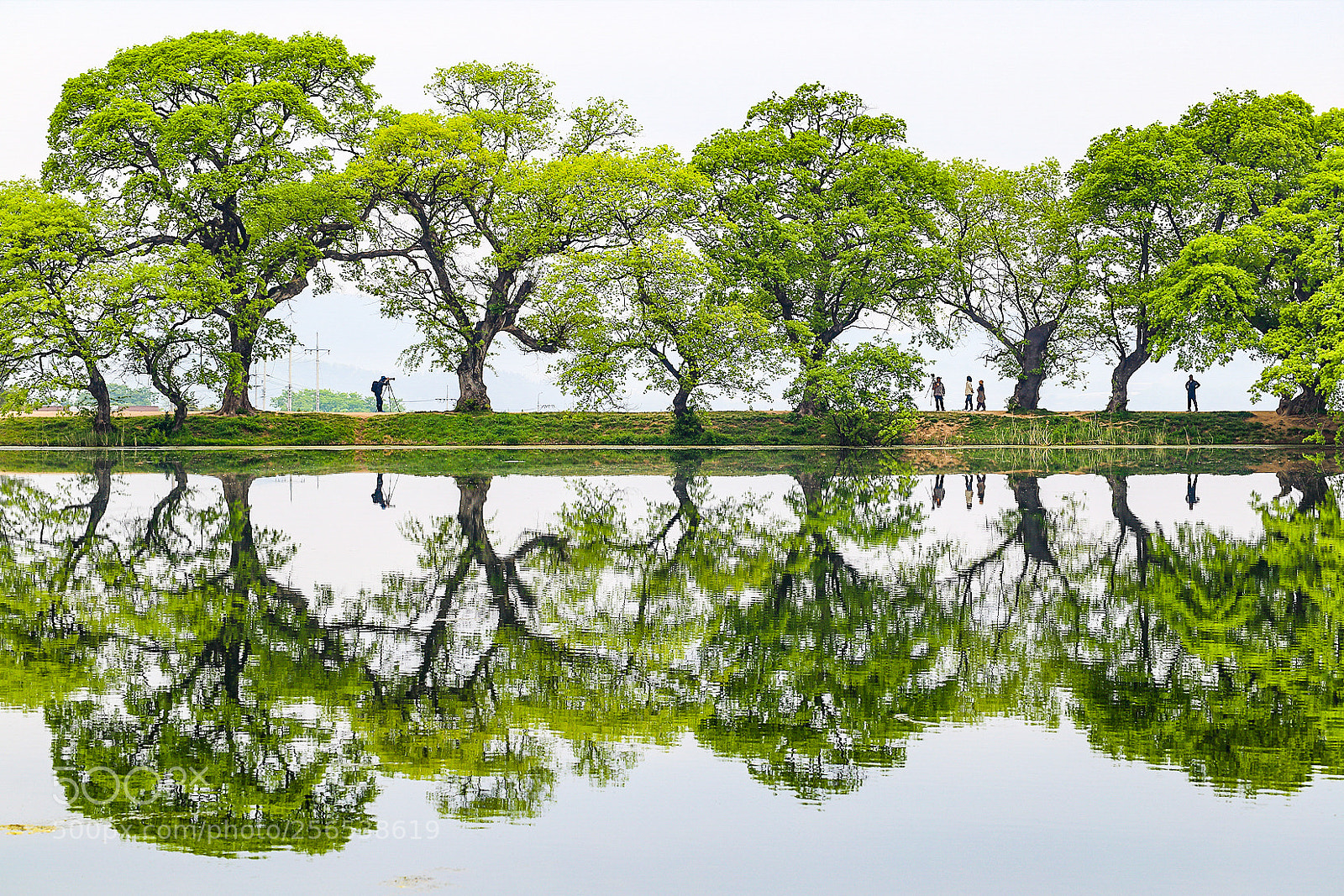 Canon EOS 6D sample photo. Untitled photography