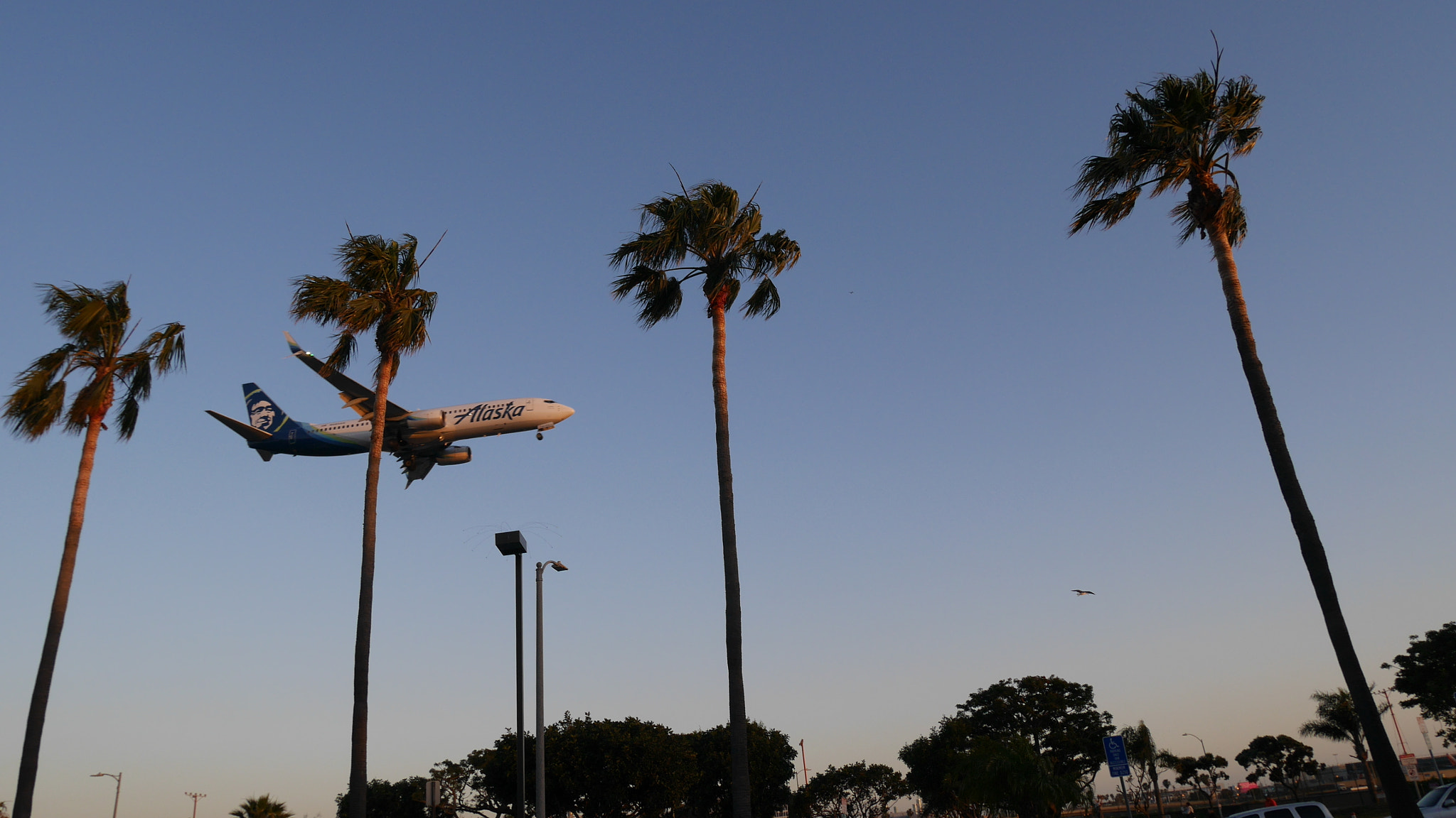 Panasonic Lumix DMC-GM1 sample photo. "plane spotting from the sepulveda in-n-out" photography