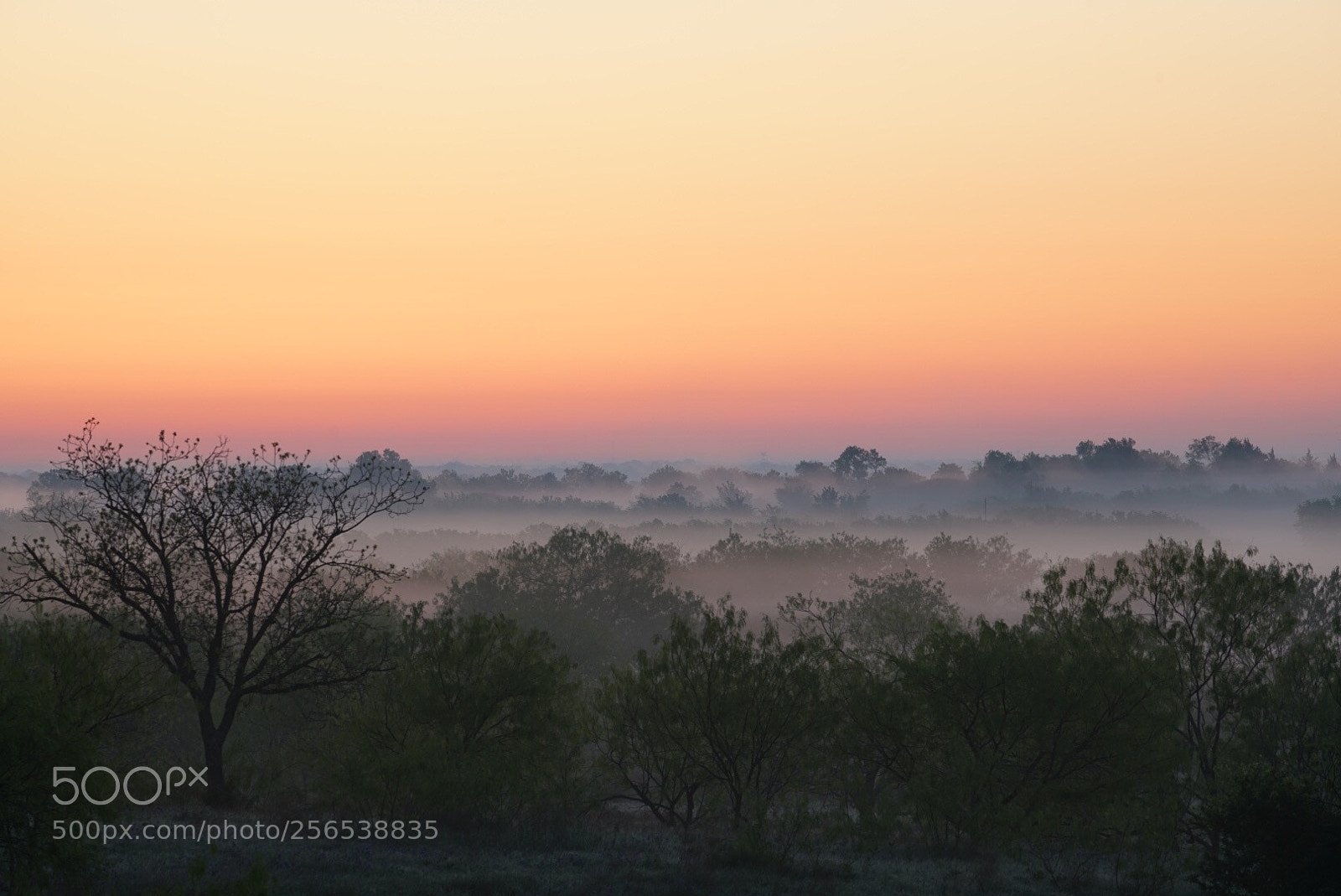Sony a7R II sample photo. Texas sunrise photography