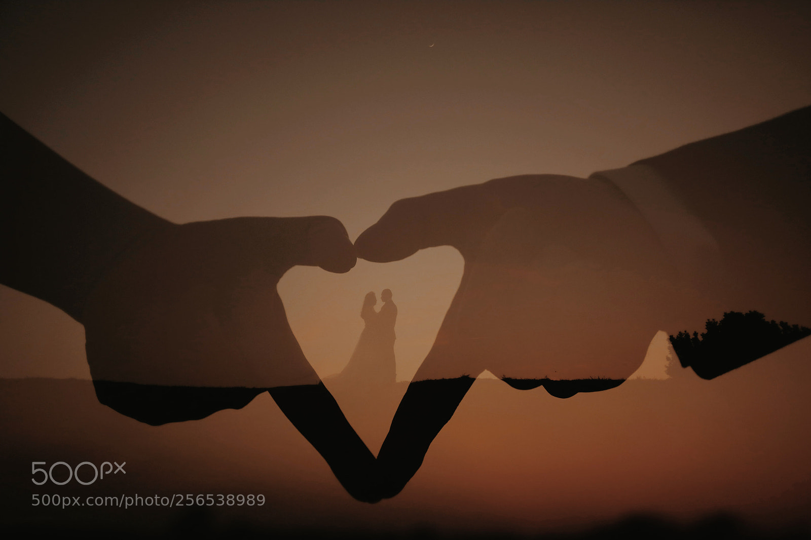 Canon EOS 5D Mark IV sample photo. Untitled photography