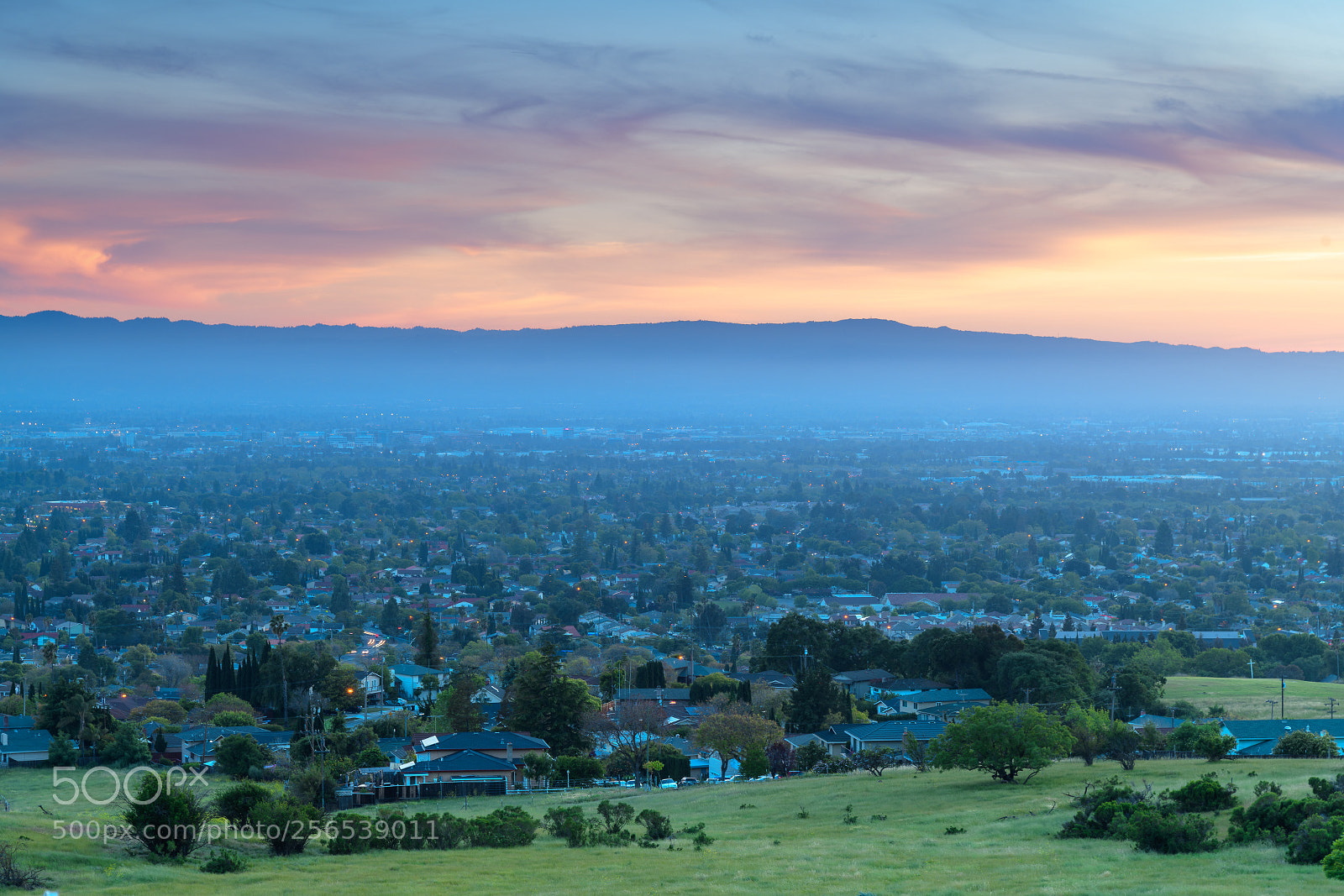 Nikon D850 sample photo. San jose, ca photography