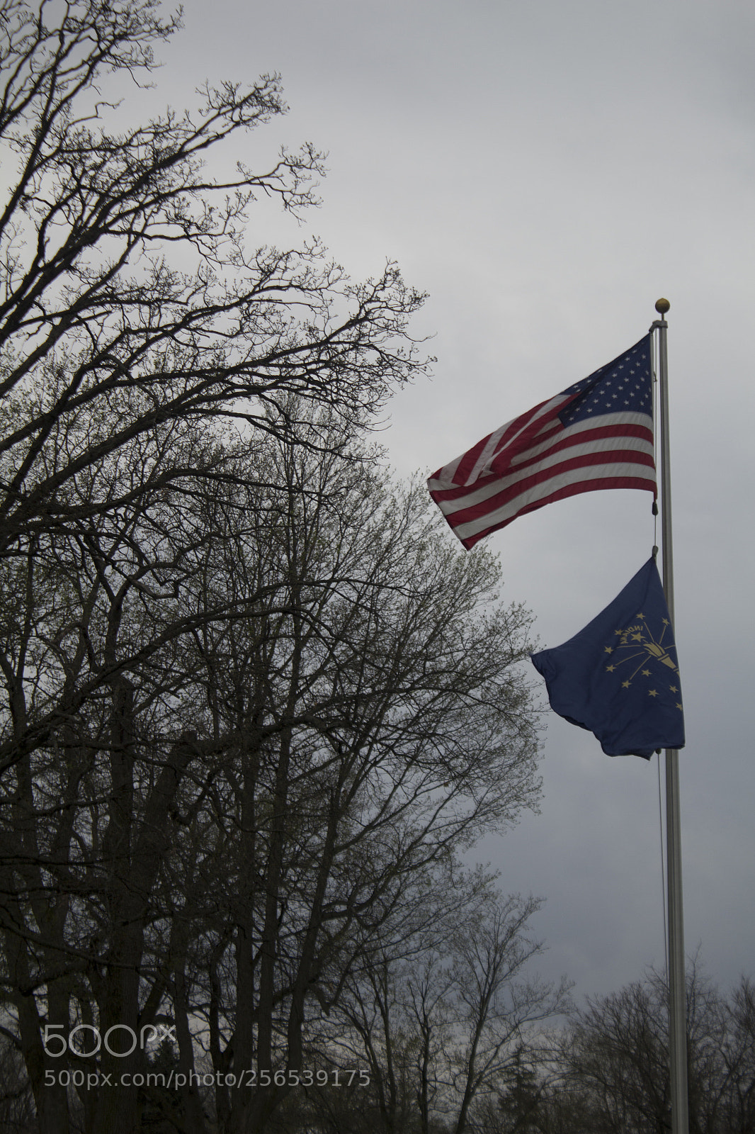 Canon EOS 1200D (EOS Rebel T5 / EOS Kiss X70 / EOS Hi) sample photo. American flag and indiana photography