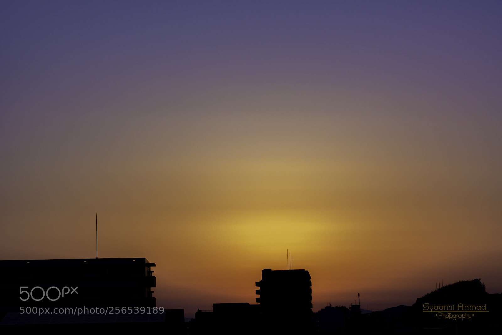 Nikon D5200 sample photo. Untitled photography