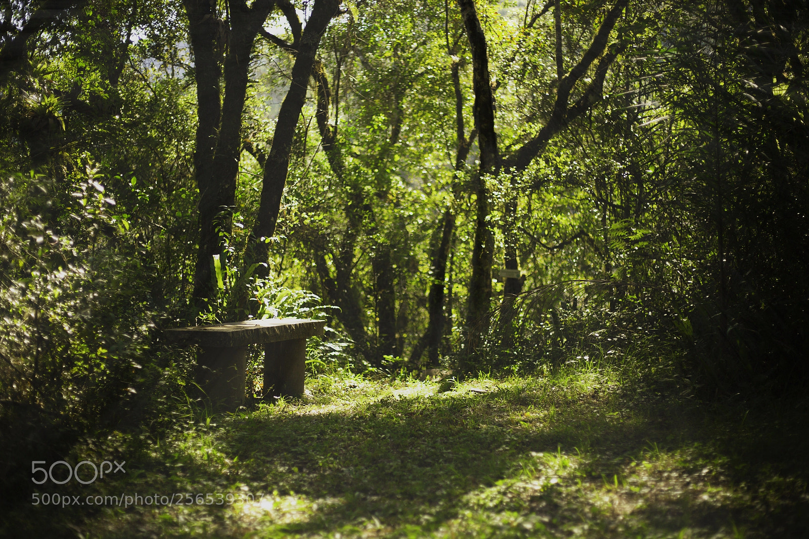 Canon EOS 6D sample photo. Nature photography
