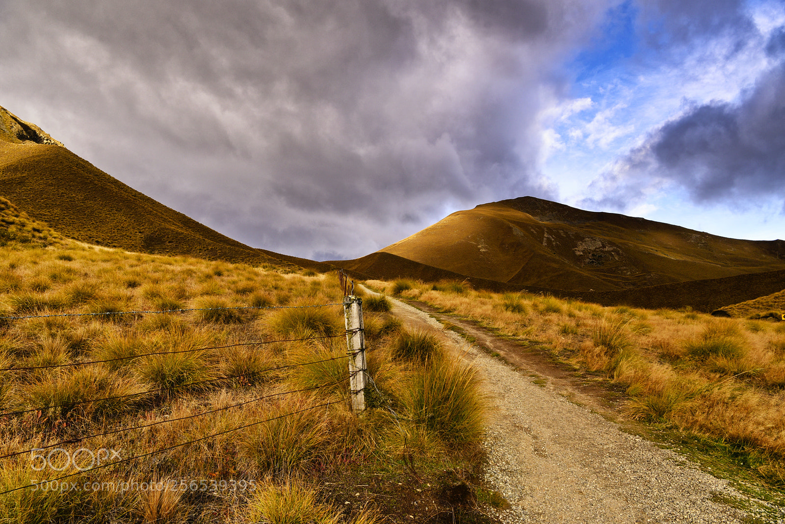 Nikon D750 sample photo. Lindis pass photography