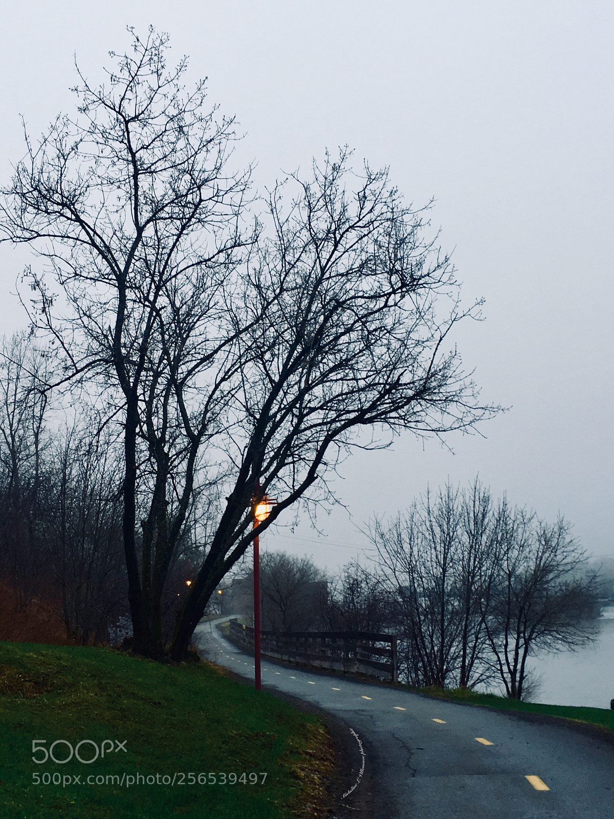 Apple iPhone 6s Plus sample photo. The winding road  photography