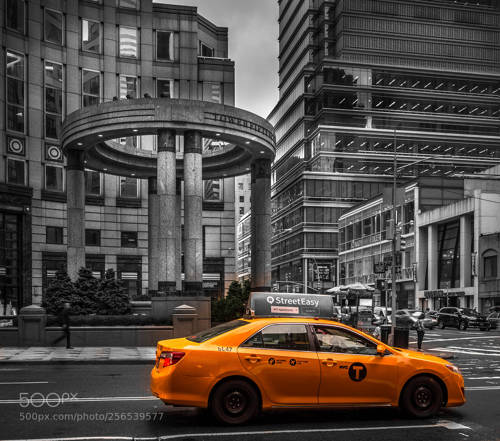 Nikon D3200 sample photo. Gray and the yellow photography
