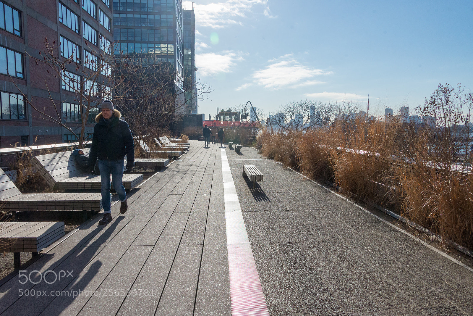 Nikon D610 sample photo. Ny - 2018 photography
