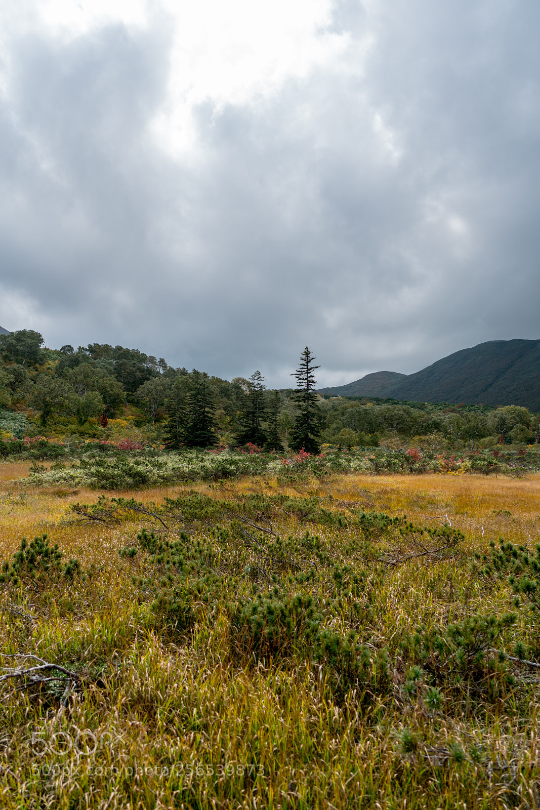 Sony a7R II sample photo. Edit photography