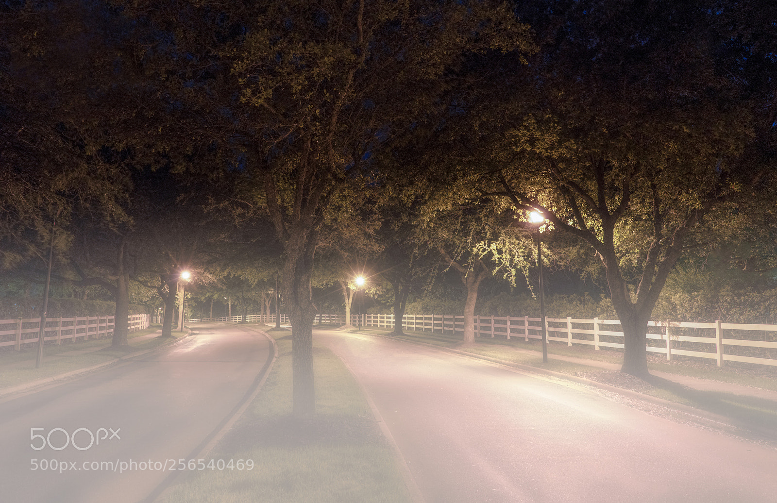 Sony a7R III sample photo. Tower bridge road with photography