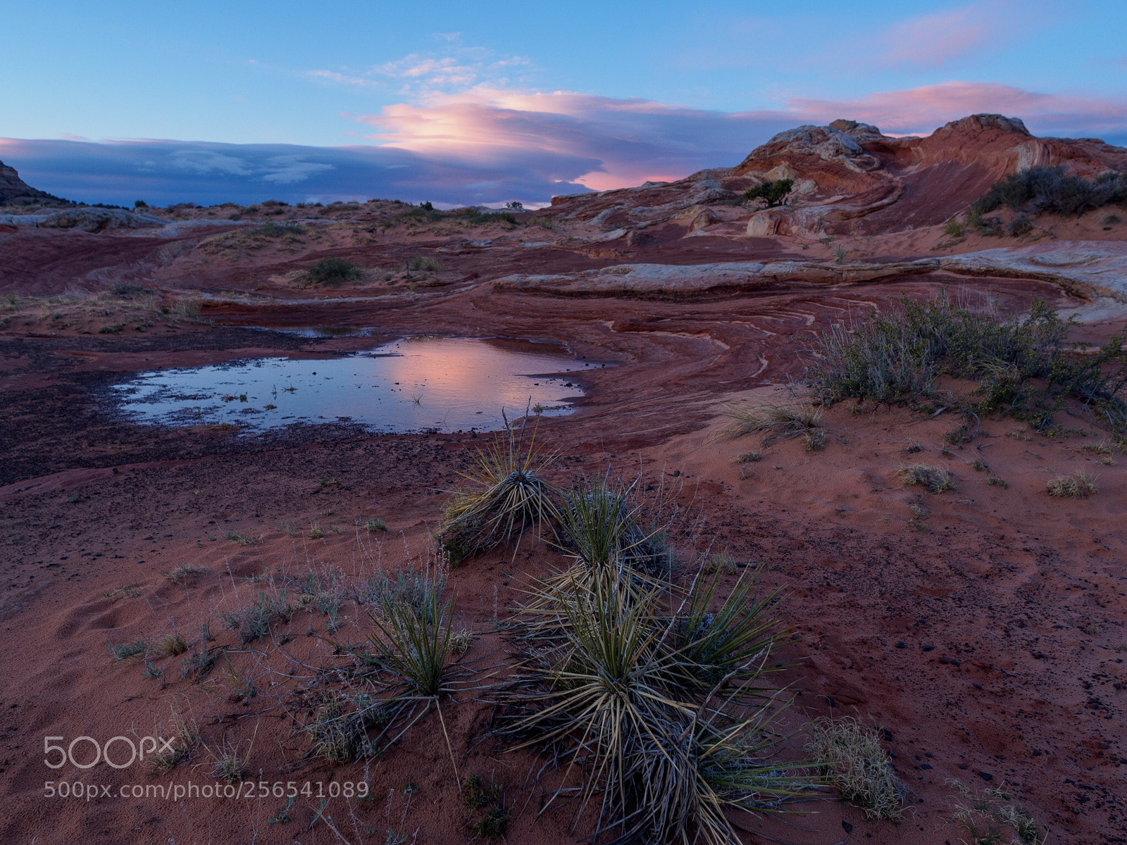 Olympus OM-D E-M5 II sample photo. Dawn at white pocket photography