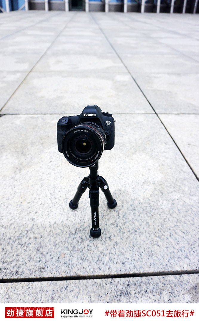 Canon EOS 6D sample photo. 2.jpg photography