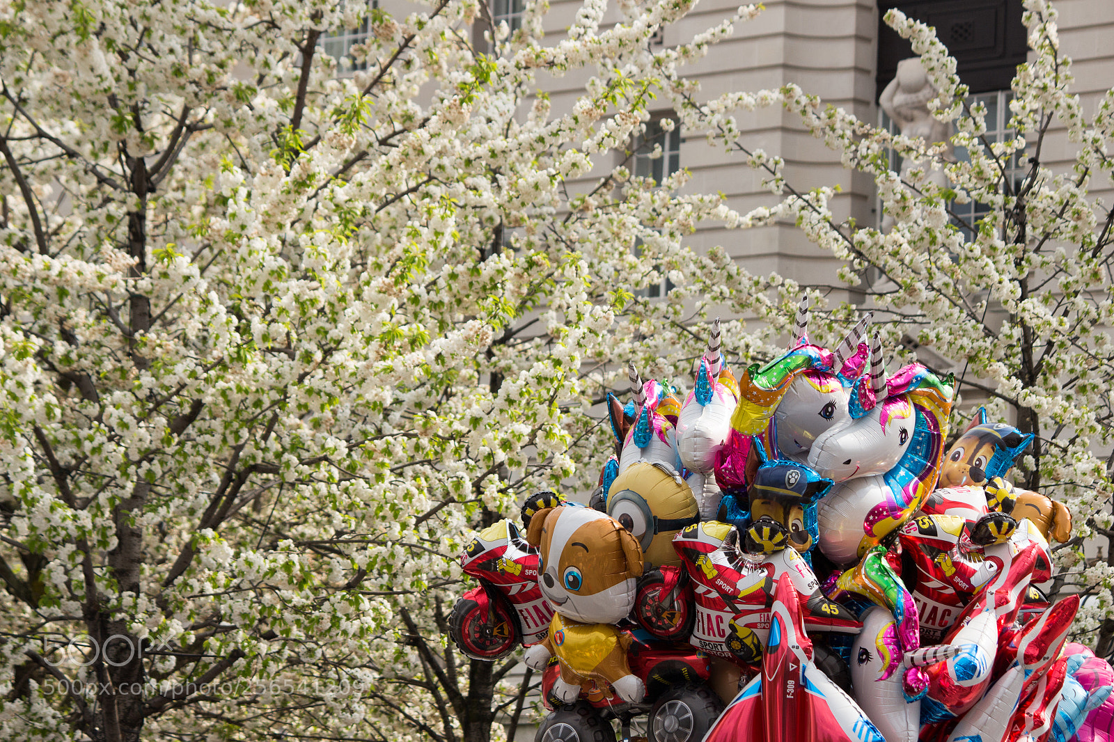 Canon EOS 700D (EOS Rebel T5i / EOS Kiss X7i) sample photo. Spring is here photography