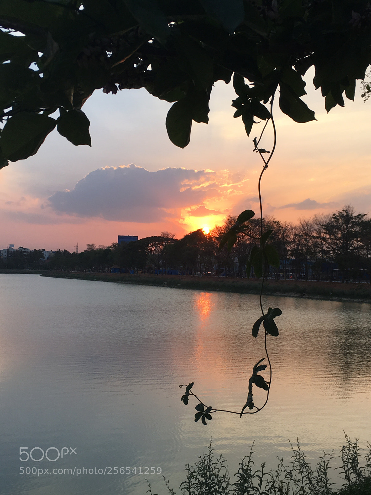 Apple iPhone SE sample photo. Sunset photography