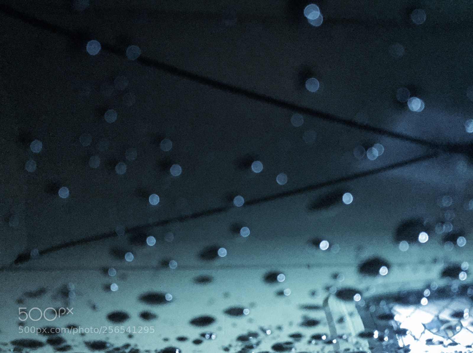 Apple iPhone 6 sample photo. Untitled photography