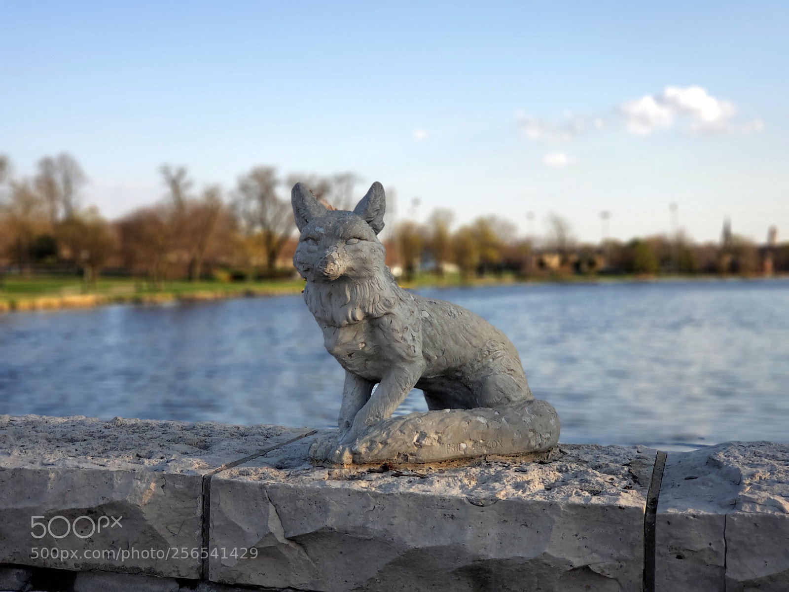 Samsung Galaxy S9+ sample photo. Fox on fox river photography