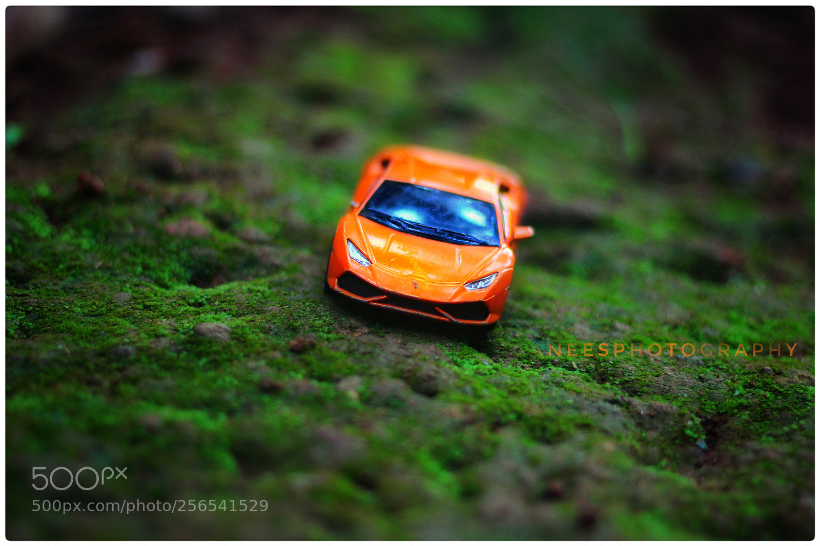 Canon EOS 1300D (EOS Rebel T6 / EOS Kiss X80) sample photo. Lamborghini photography
