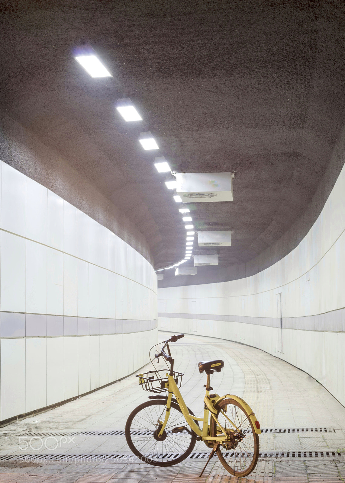 Pentax K-50 sample photo. Ofo shared bike photography