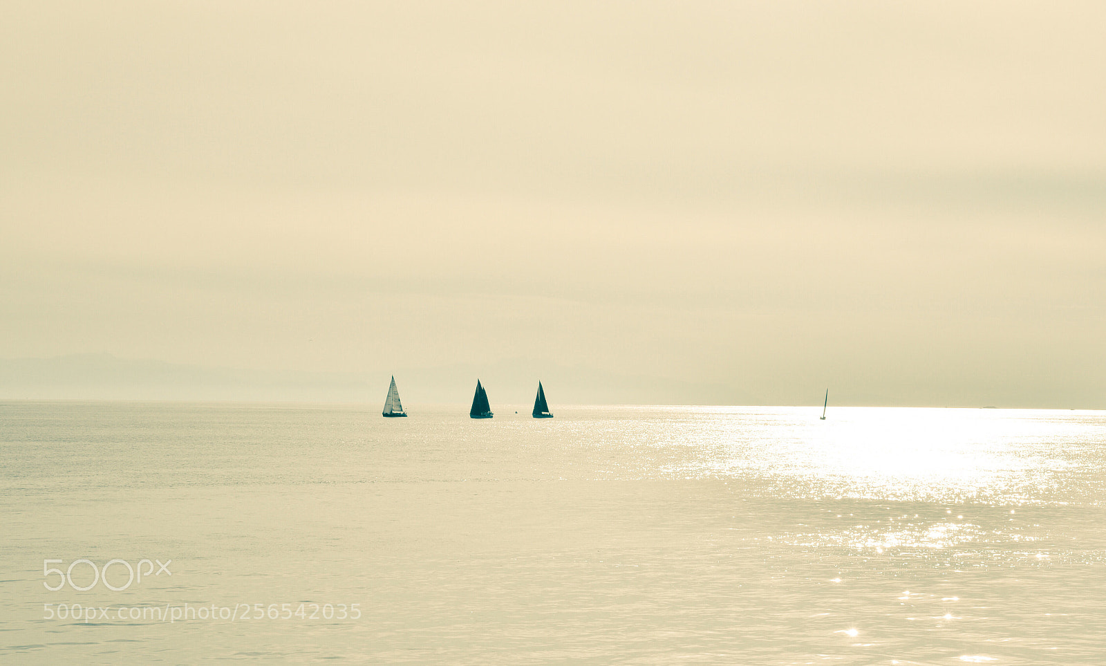 Nikon D750 sample photo. Sailing photography