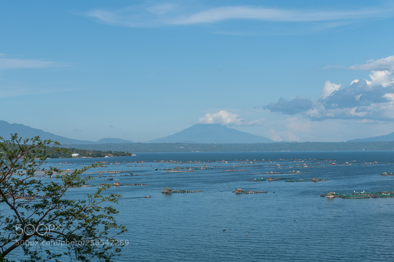 Sony a7R II sample photo. Dsc photography