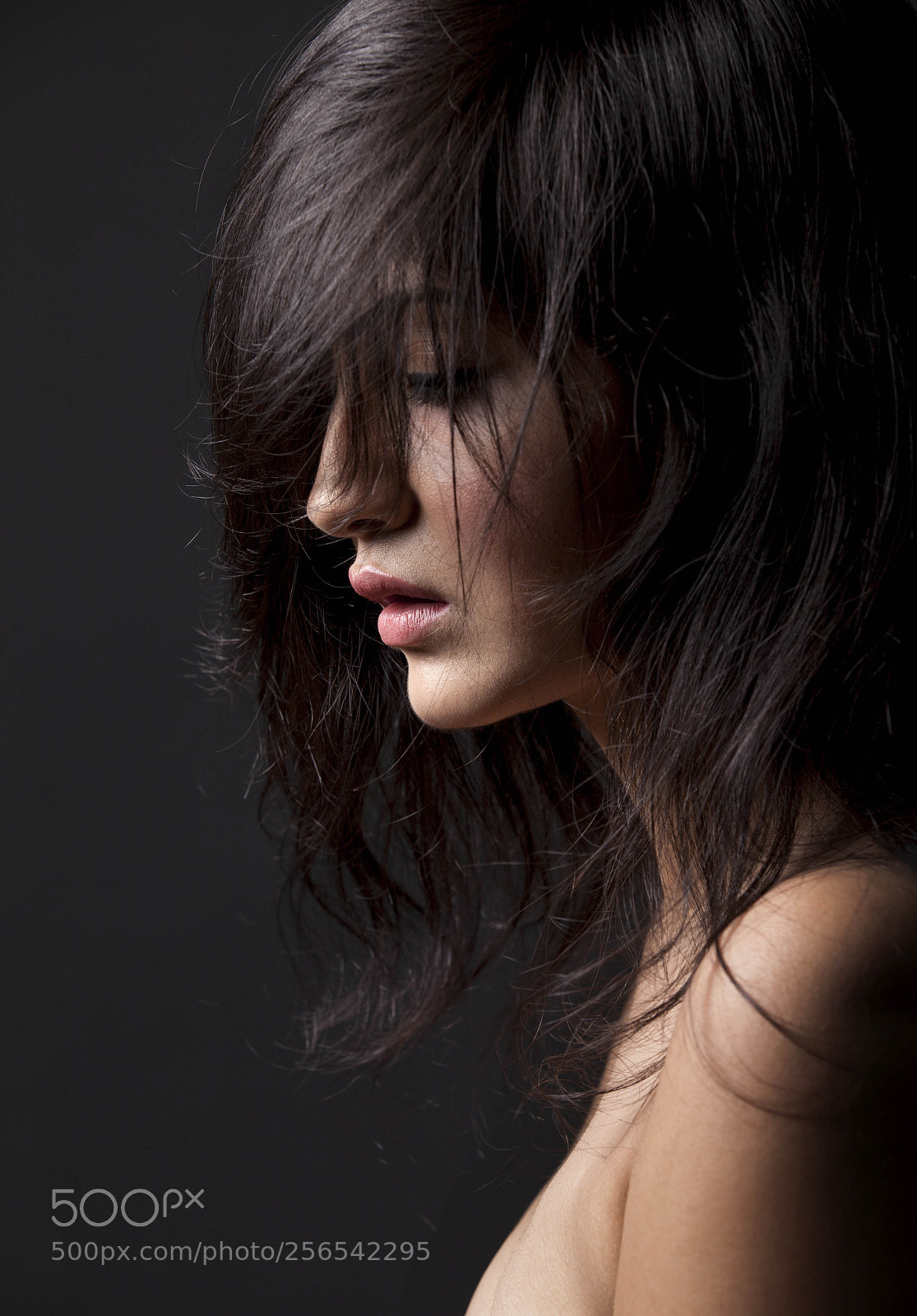 Canon EOS 5D Mark II sample photo. Sonal singh photography