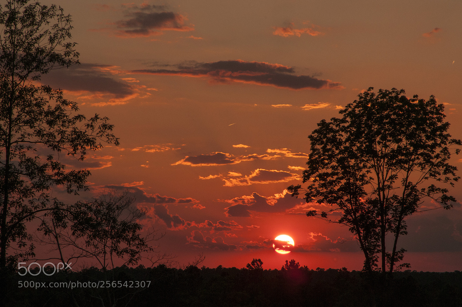 Nikon D300 sample photo. Sunset photography