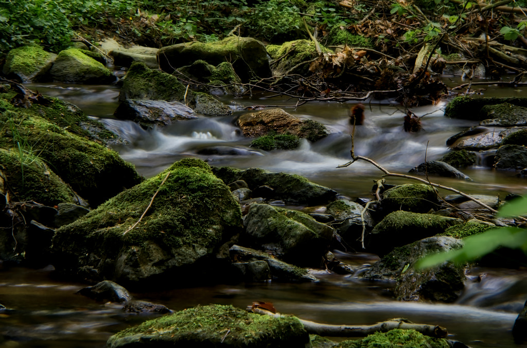 three von dirk derbaum auf 500px.com
