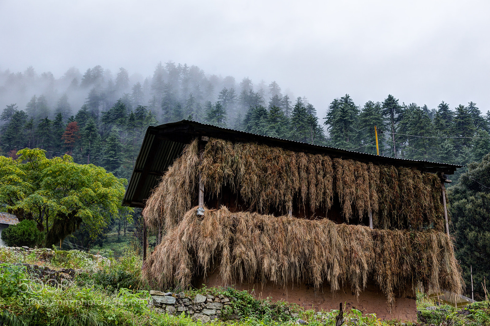 Canon EOS 6D sample photo. Straw hut photography