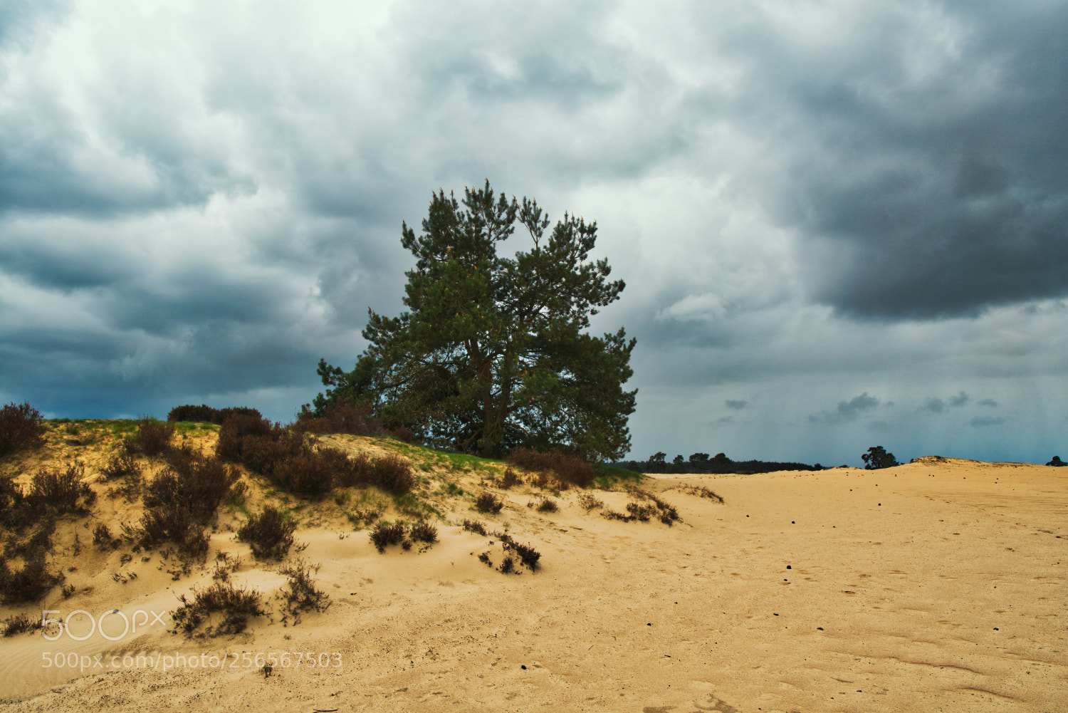 Sony a6500 sample photo. Drift sands in national photography