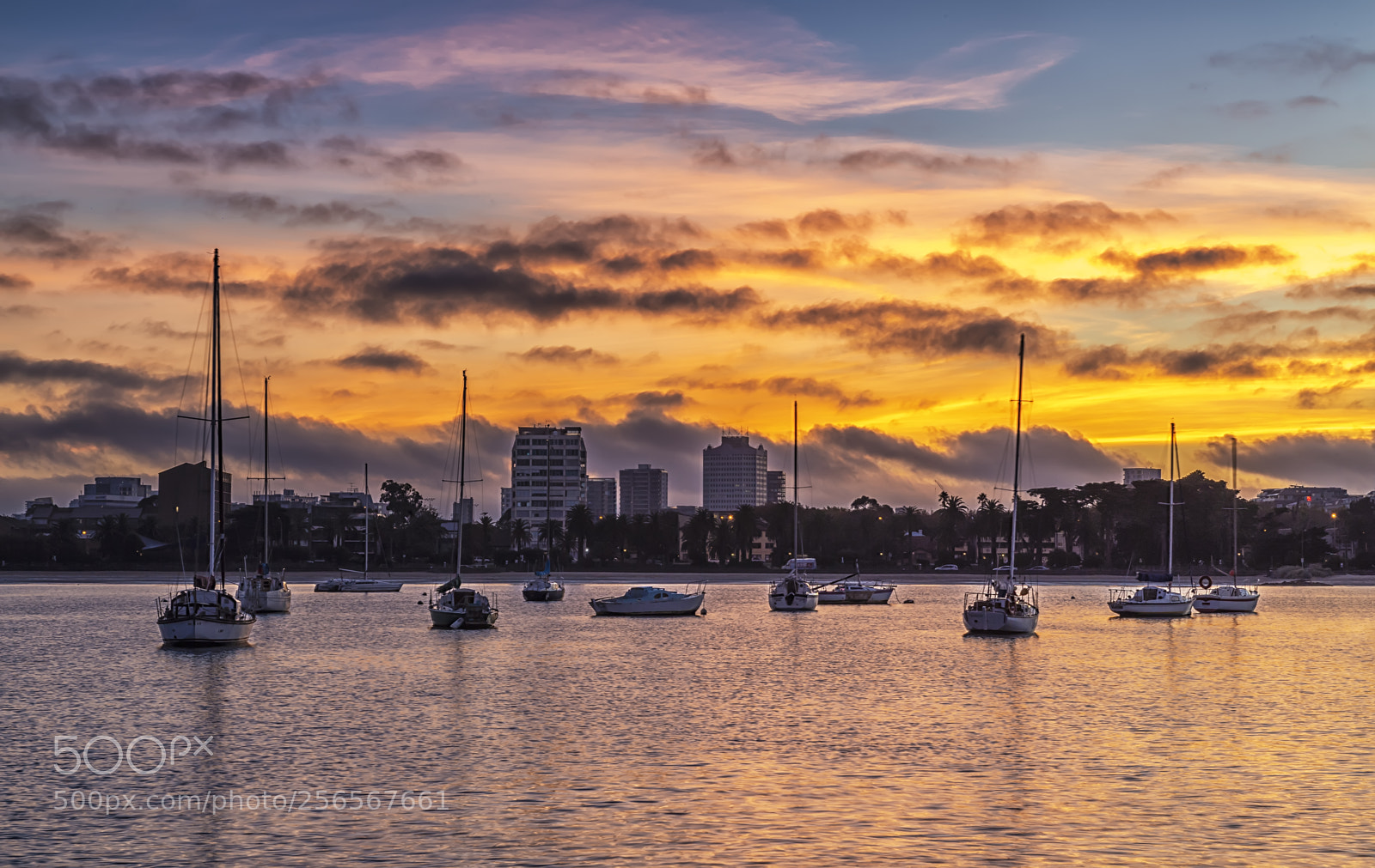 Nikon D5 sample photo. Sunrise in melbourne photography