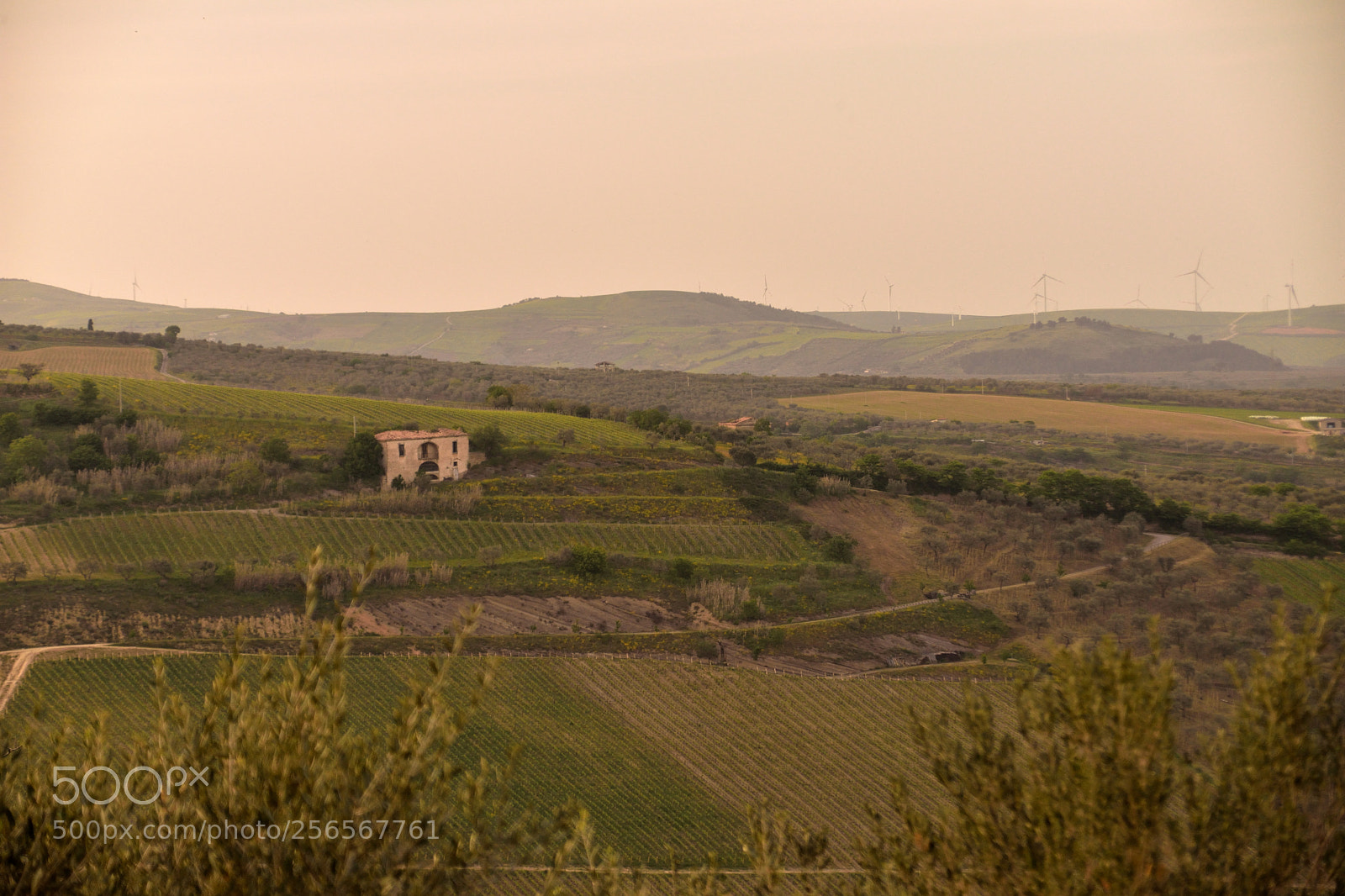 Nikon D3400 sample photo. Rural land photography