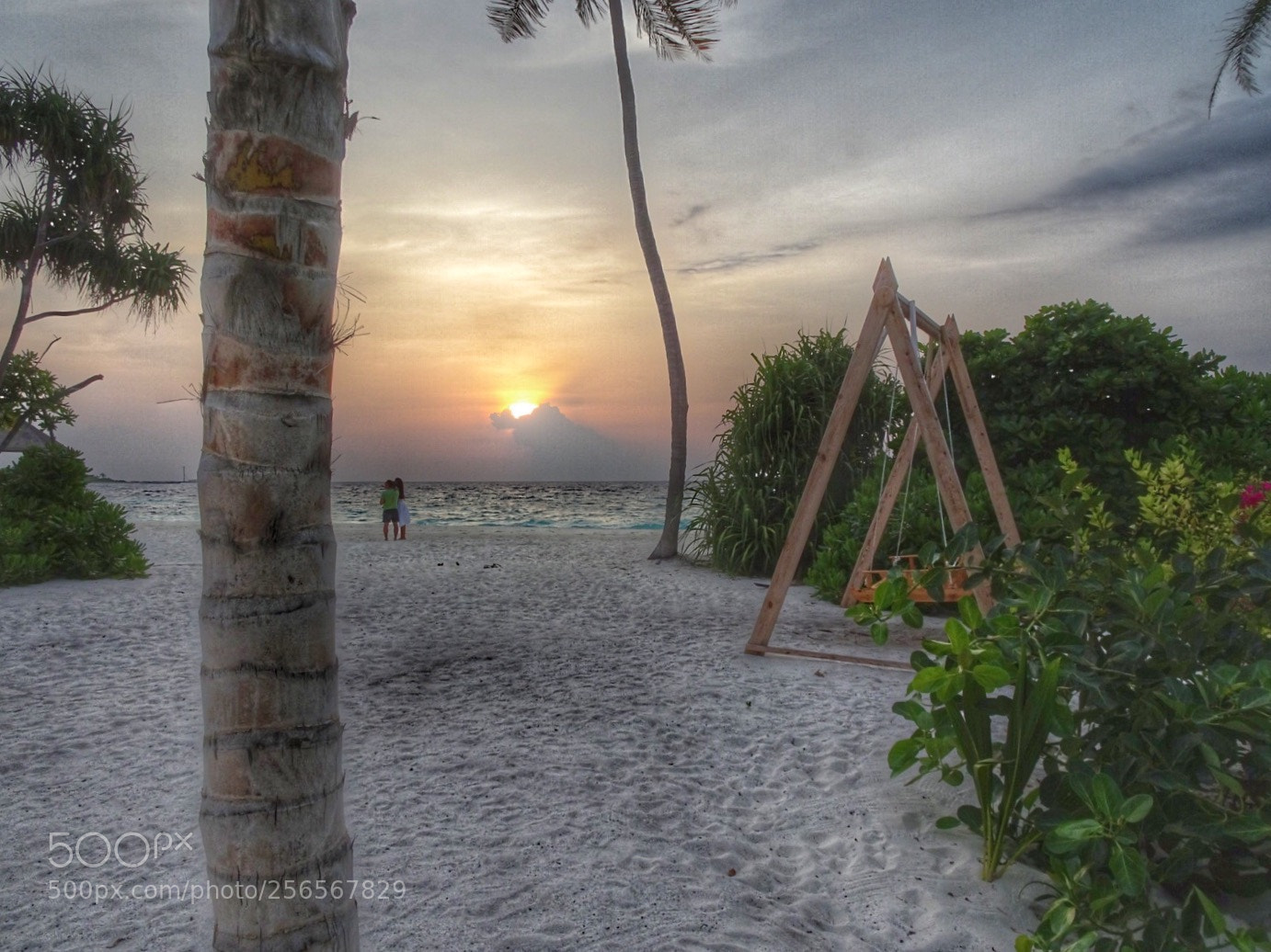 Sony Cyber-shot DSC-HX90V sample photo. Swing photography