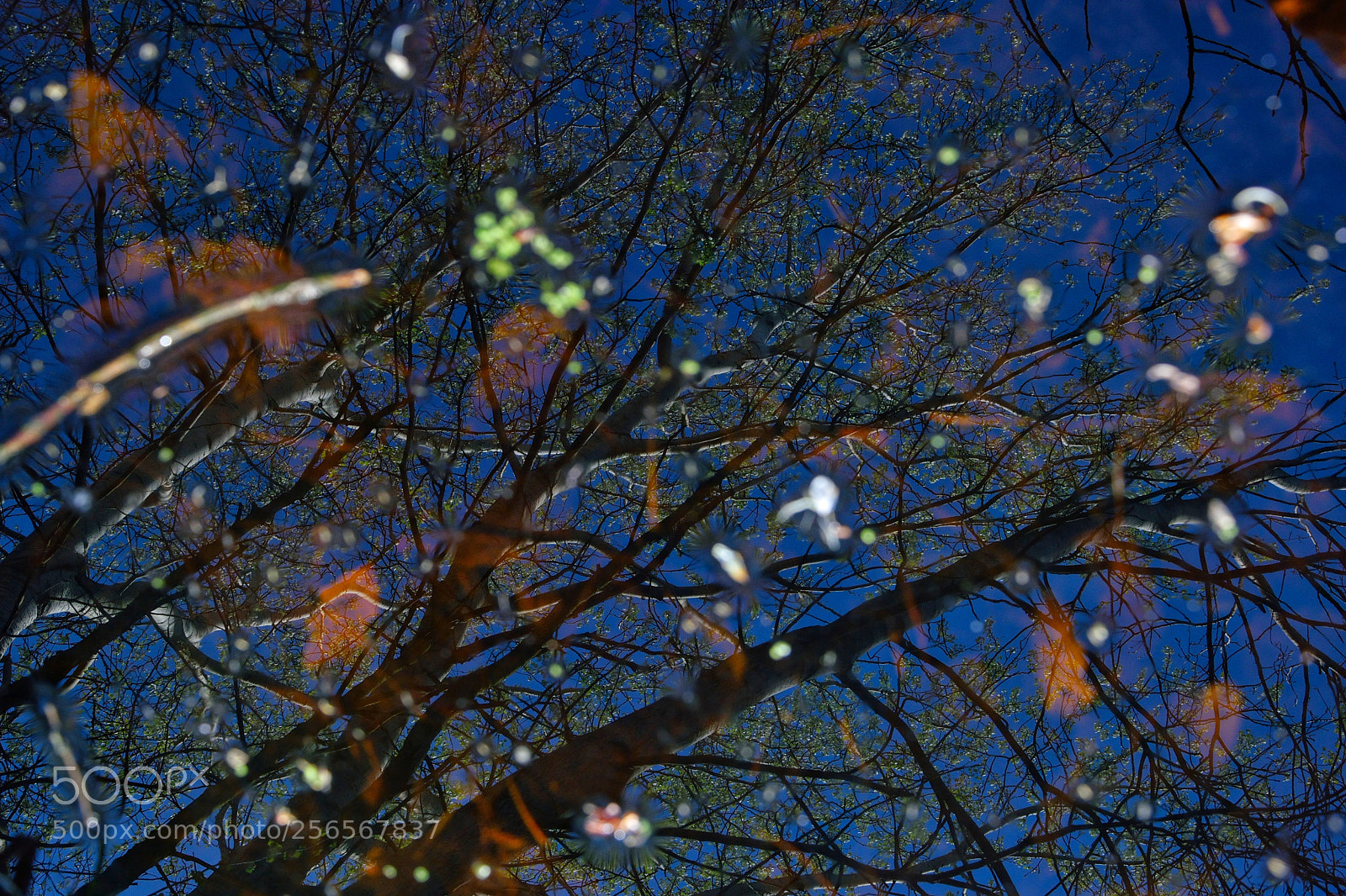 Nikon D3300 sample photo. Untitled photography