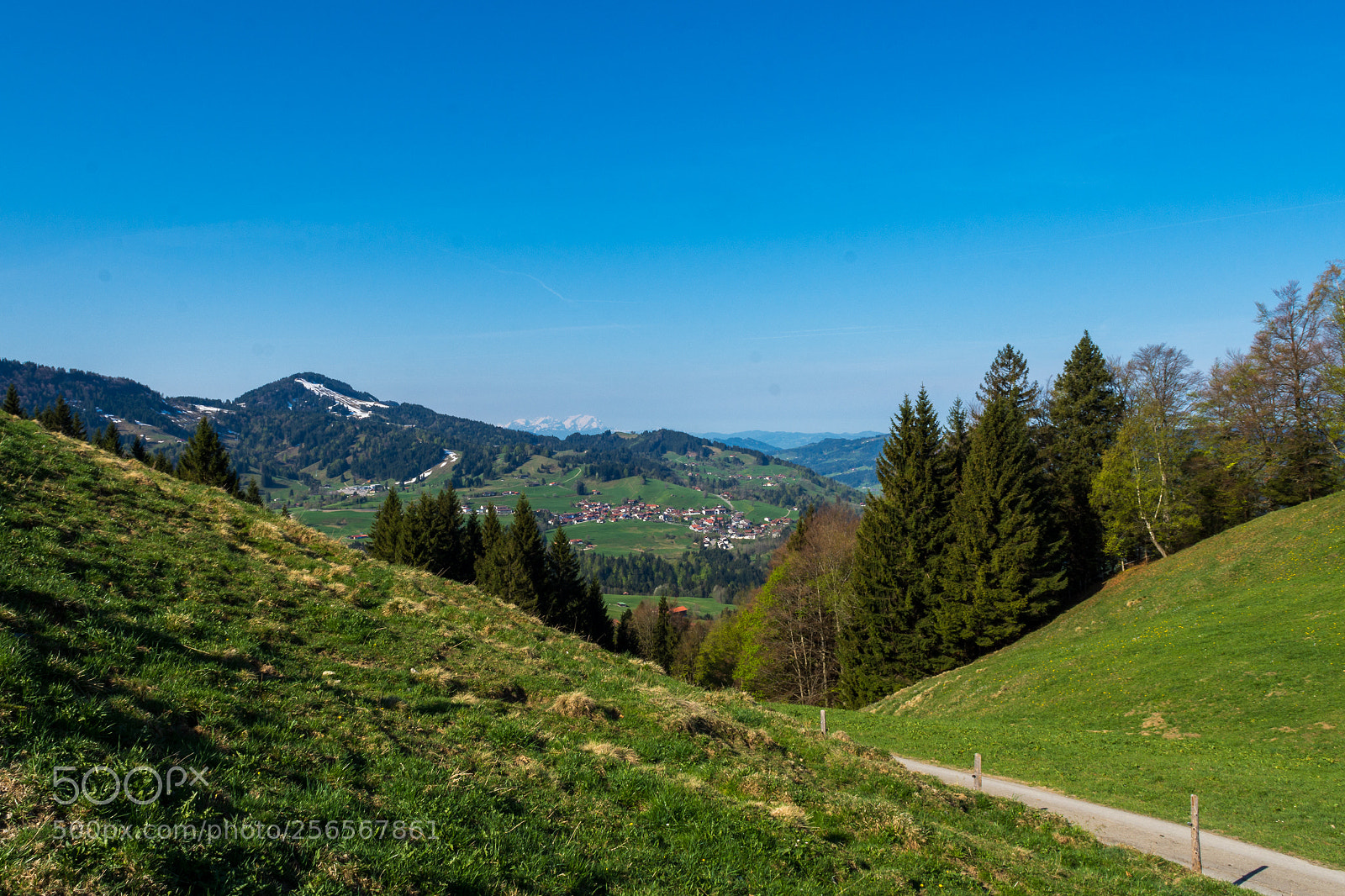 Nikon D7200 sample photo. Hündle photography