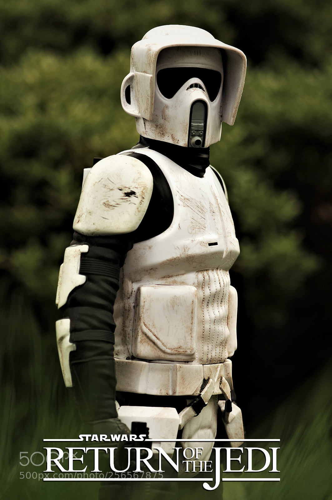 Nikon D7100 sample photo. Scout trooper photography