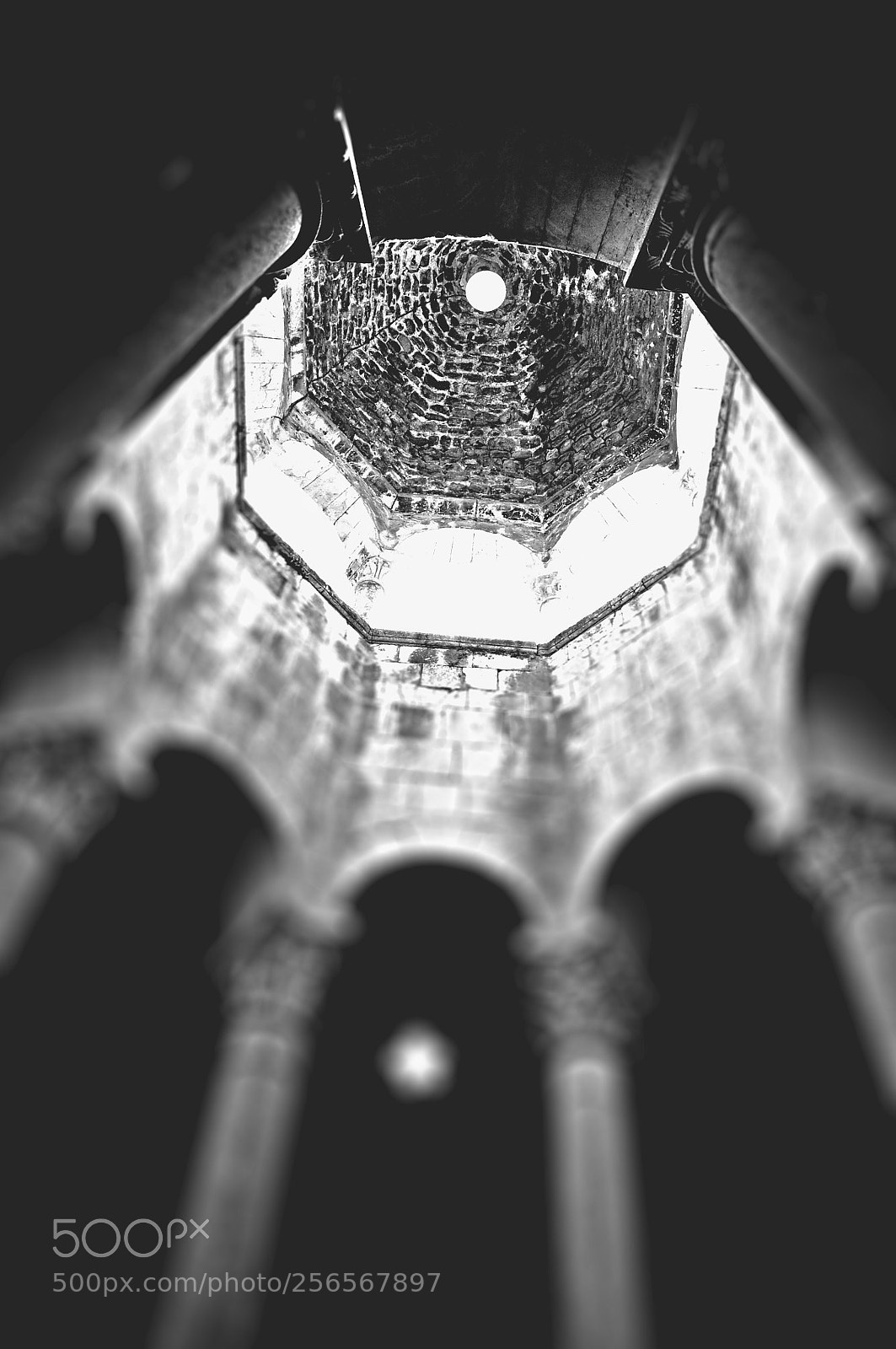 Nikon D5000 sample photo. The eye of the photography